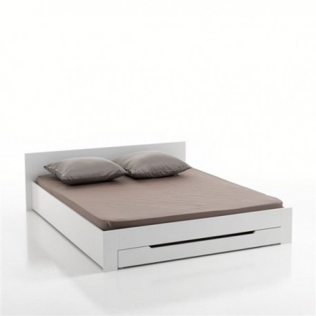 Bradley White - Cama...